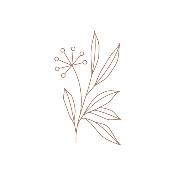 Abstract line art dandelion with stem and leaves floral blossom logo vector illustration — Vector de stock