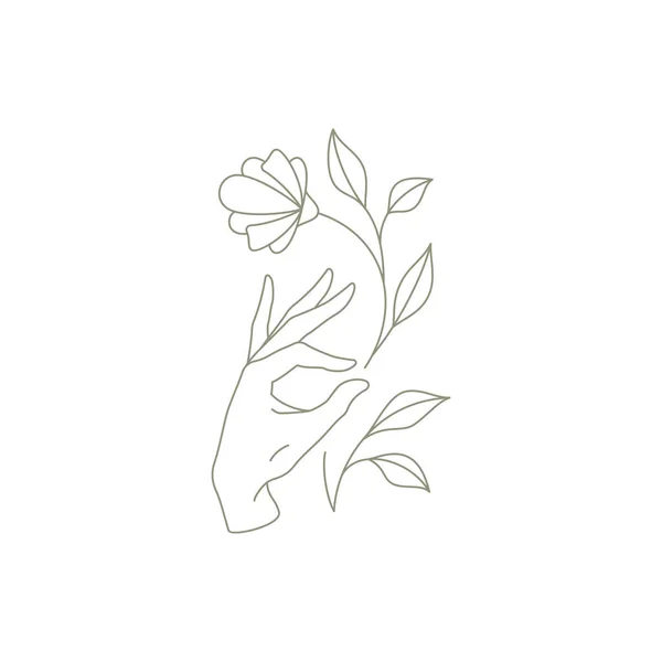 Liniowy prosty samica ręka dotykając naturalny kwiat pączek, płatek, łodyga liście ikona wektor ilustracja — Wektor stockowy