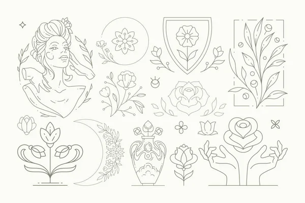 Line art elegant feminine blossom monochrome set with decorative botanical design elements — Stockvektor