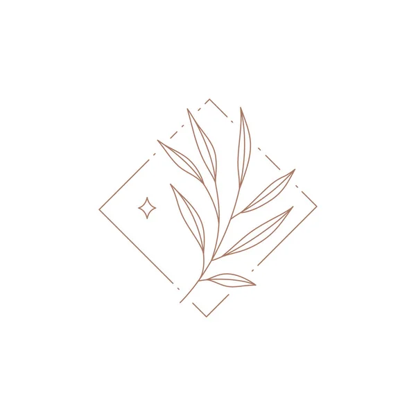 Rama tropical brillante con hojas de tallo en rombo marco decorativo diseño dibujado a mano logo vector — Vector de stock