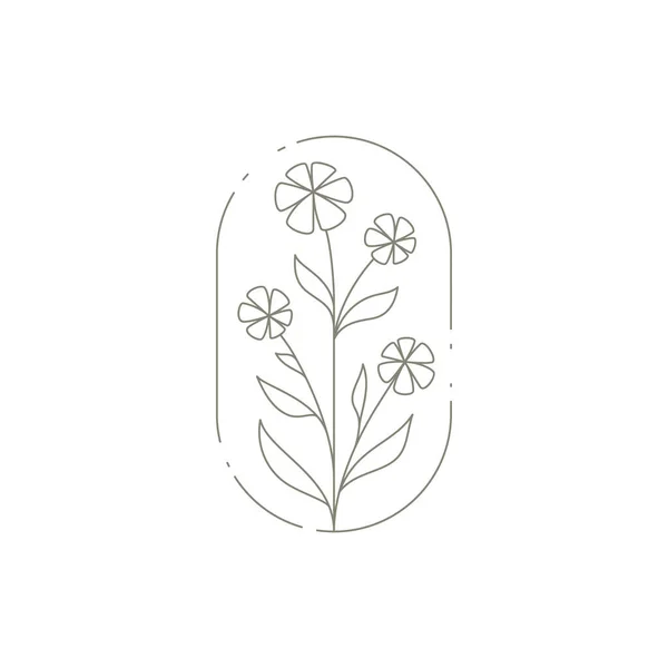 Elegant natural chamomile bouquet with stem, petal and leaves at ellipse hand drawn frame icon — Stock Vector