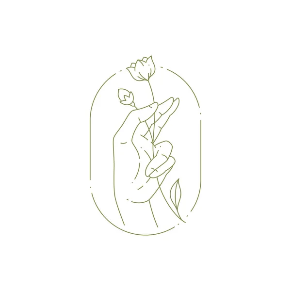 Monochromatyczna linia sztuka ludzka ręka trzymająca naturalny kwiat botaniczny z liśćmi w eliptycznej ramie — Wektor stockowy