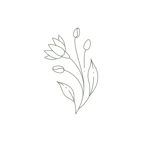 モノクロームラインアートは、蕾、茎と葉のエレガントな壁のプリントデザインのロゴベクトルとユリかもしれません — ストックベクタ