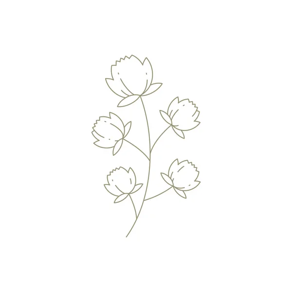 Liniowy prosty logo kwiat botaniczny z pączkami i łodygą dla eleganckiego projektu wystroju zaproszenia izolowane — Wektor stockowy