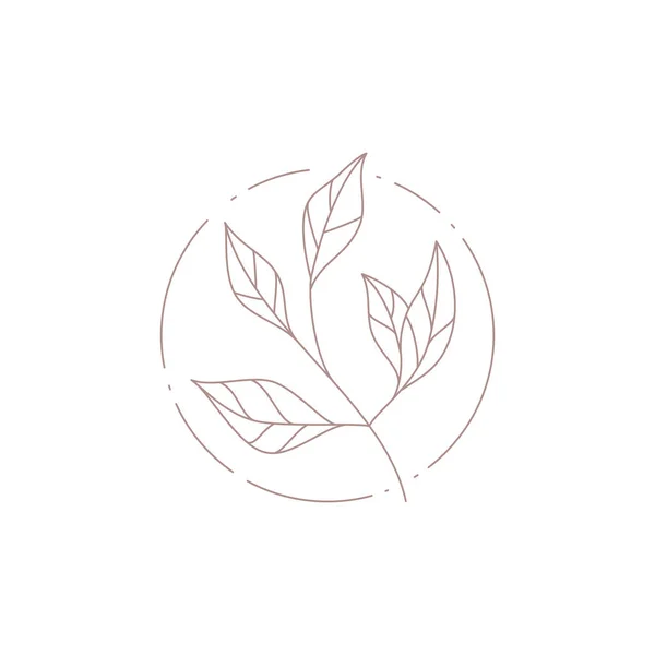 Elegant linje konst tryck logotyp naturliga tropiska blad träd gren på cirkel ram vektor illustration — Stock vektor