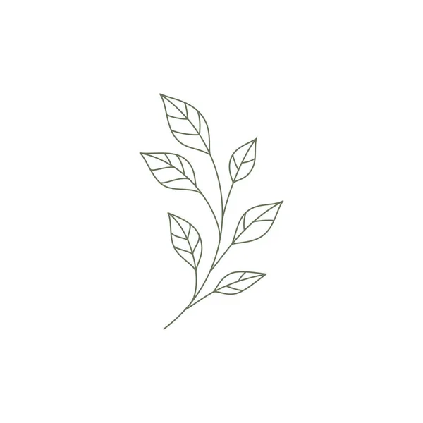 Monokrom trädgren med naturliga blad linjär logotyp vektor illustration. Linje konst natur kvist — Stock vektor