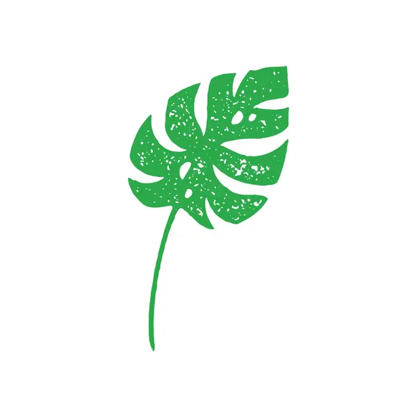 Φυσικό Τροπικό Φτέρη Φύλλα Πρασίνου Διακοσμητικά Άκρα Και Μίσχο Εξωτικό — Διανυσματικό Αρχείο