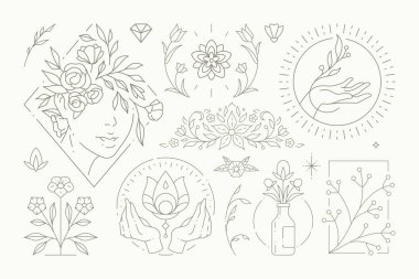 Düğün kartı dekorasyonu için zarif çiçek monokrom tasarım elementleri vektör çizimi. Romantik botanik logosu çiçekli nilüfer çiçeği yapraklı papatya çayı, saplı ve esrarengiz eller.