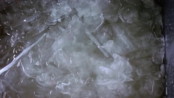 Muchos trozos de hielo rotos en el agua. — Vídeo de stock