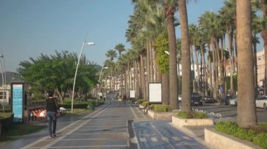 Şehir caddesi ve yol boyunca yeşil palmiyeli şehir manzarası.