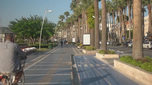 Passeio perto da estrada e da rua da cidade com palmeiras em crescimento. — Vídeo de Stock