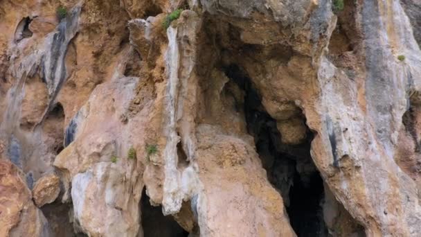 Närbild av eroderad sandsten texturerad klippa i berget. — Stockvideo