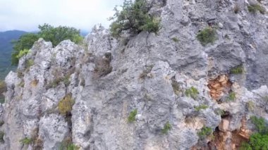 Dağ vadisinde kayalık kayalıklara ve yeşil ağaçlara yakın..