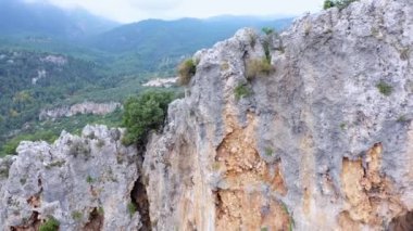 Rocky Dağı manzarası. Yeşil ormanları olan dağ geçidi..