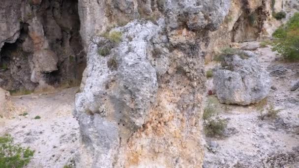 Klippig berg bakgrund med gröna växter. Vacker utsikt över naturen landskap. — Stockvideo