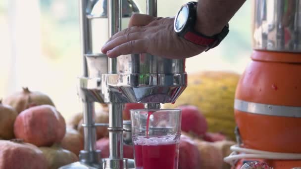 Close up of male hands preparing pomegranate juice using. — Stok video