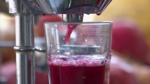 Pomegranate juice pours from a juicer into a glass. — Stok video