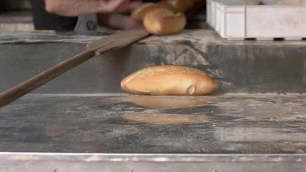 Φρεσκοψημένο ψωμί σε ταψί. Άνθρωποι που εργάζονται στο αρτοποιείο. — Αρχείο Βίντεο
