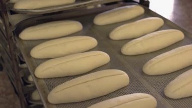 Rafta pişmemiş çiğ ekmek hamuru. Fırında ekmek yapmak..