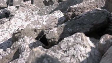 Grunge gri granit taşlar yığını. Yıkılmış binanın kalıntıları..