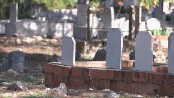 Graves with gravestones at a cemetery. — Stock Video