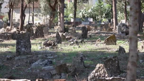 Old stone tombs in cemetery. Tombstone and graves. — Stock Video
