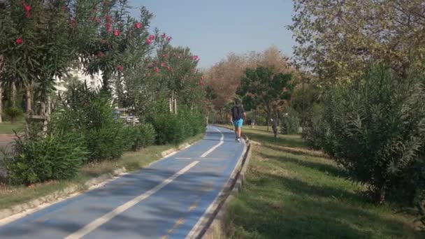 Велосипедна доріжка в парку вздовж міської дороги. Вид ззаду людини, що йде пішохідним шляхом . — стокове відео