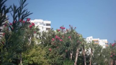 Sahildeki tatil köyünün pitoresk şehir manzarası.