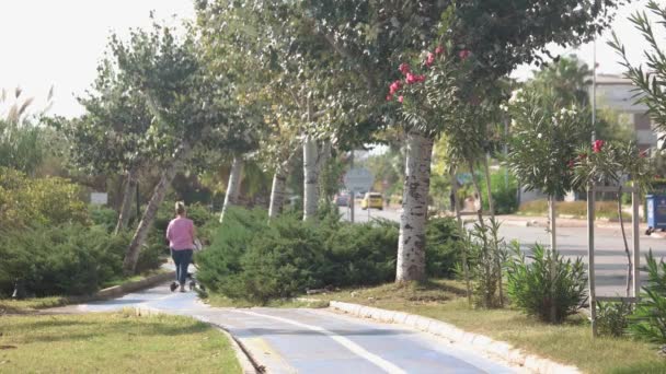 Baksidan av en kvinna med barnvagn promenader i stadsparken. — Stockvideo