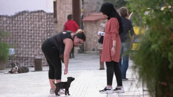Två kvinnor på gatan. Muselman flicka leka med hund utomhus. — Stockvideo