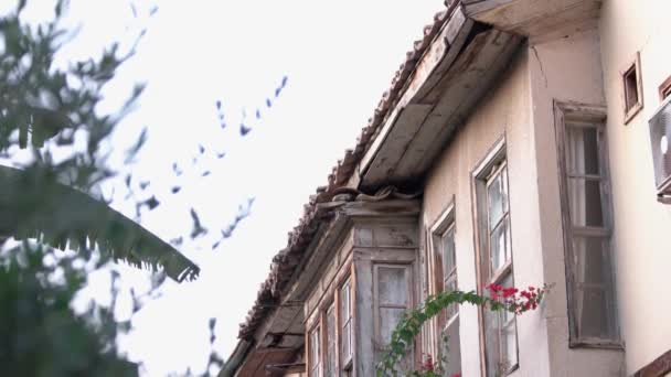 Vista del antiguo edificio histórico con hermosas plantas en flor. — Vídeos de Stock