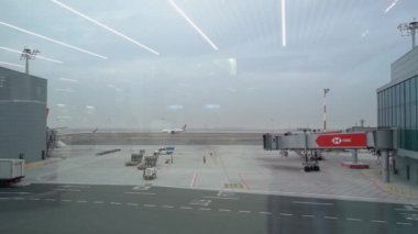 Havaalanı terminali penceresinden, havayollarından uçakların görüntüsü.