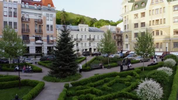 Pine tree in the middle of town square. — ストック動画