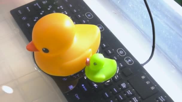 Yellow duck on the black keyboard background. — стоковое видео