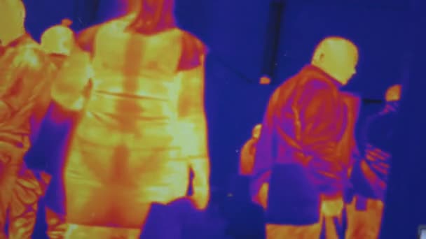 Infrared thermal vision of random walking people. — Video Stock