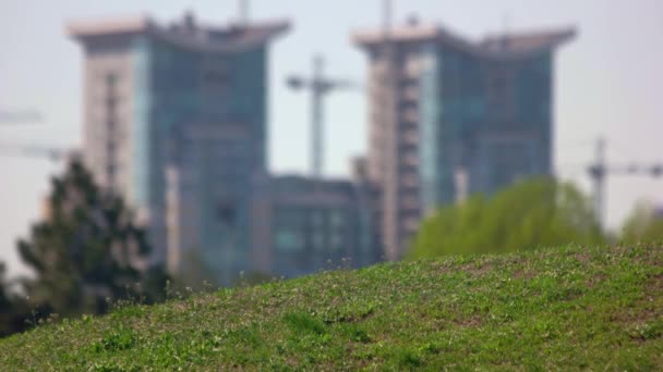 Zöld Füves Pázsit Homályos Modern Városi Épületeken Kilátás Nyilvános Parkból — Stock videók