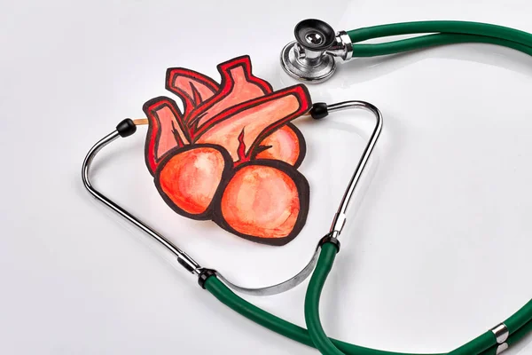 Gerçekçi Çizilmiş Kırmızı Kalp Steteskop Beyaz Arka Planda Sağlık Tıbbi — Stok fotoğraf