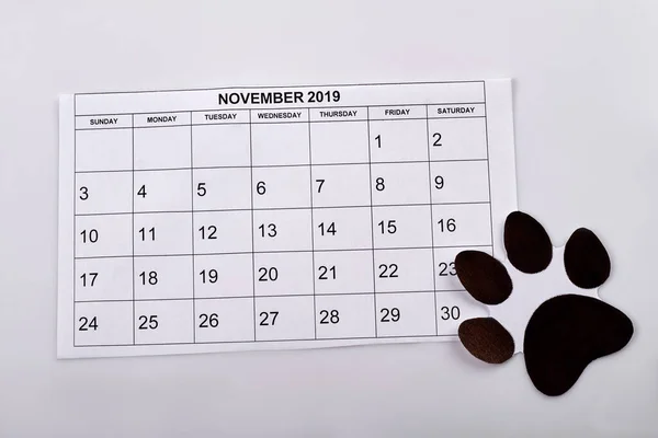 Concepto Del Día Internacional Mascotas Calendario Noviembre Sobre Fondo Blanco —  Fotos de Stock