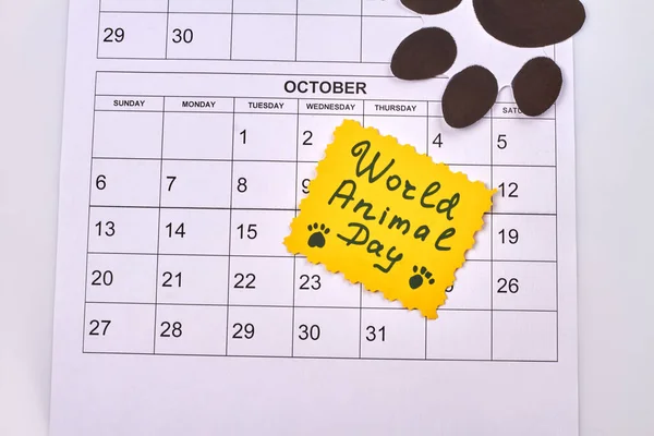 Dia Mundial Dos Animais Pegadas Animais Calendário Outubro Vista Superior — Fotografia de Stock