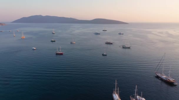 요트와 배들이 아름다운 않는다 보이는 — 비디오