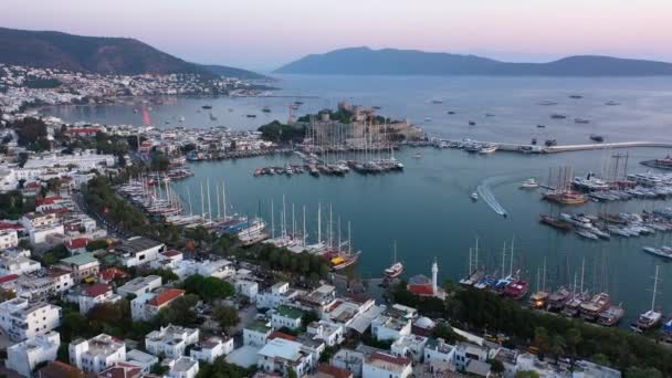 Bodrum Şehrinin Limanı Kalesinin Havadan Panoramik Görüntüsü Türkiye Nin Panorama — Stok video