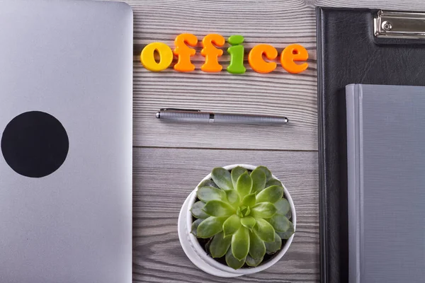 Office accessories and flowerpot with green leaves. Top view flat lay office concept. Laptop with notepad and pen on grey wooden desk.