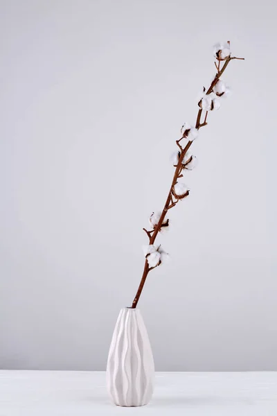 Vertical Shot Pussy Willow Twig White Vase Pussy Willow Branches — Zdjęcie stockowe