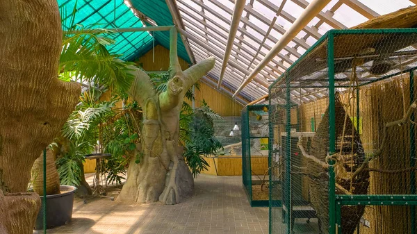 Modern zoo interior design. Exotic birds inside big cages. Touristic attraction.