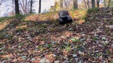 Geçmişe dönük askeri araba yapraklar üzerinde off-road yapıyor. Sovyet RC arabası ormanda..