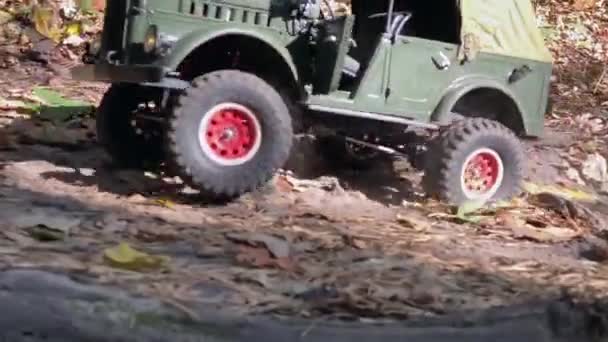 Jipe Uma Floresta Carro Militar Retro Dirige Offroad Com Obstáculos — Vídeo de Stock