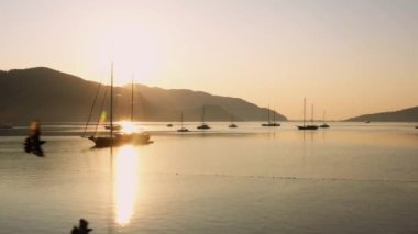Golden sunrise over calm ocean with anchored yachts. Birds flying over water with sun reflection. Picturesque nature landscape.
