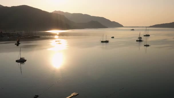Flock Birds Flying Calm Sea Bay Parked Boats Stunning Sunrise — Wideo stockowe