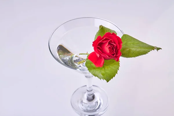 Cocktail Glass Cup Rose Flower Leaves Romantic Valentines Day Composition — 스톡 사진