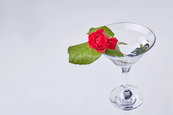 Red Flower Cocktail Glass Copy Space Isolated White Background — 스톡 사진